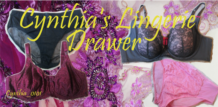 Cynthia's Lingerie Drawer: Ashley Graham Midnight Bodysuit with Geometric  Lace by Addition Elle – Cynthia's Crossdresser Journey
