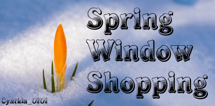 spring_window_shopping